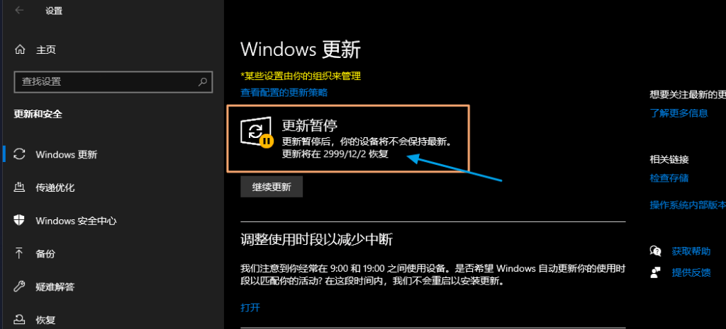 【系统工具】暂停Win10 / Win11 系统更新 到 2999年